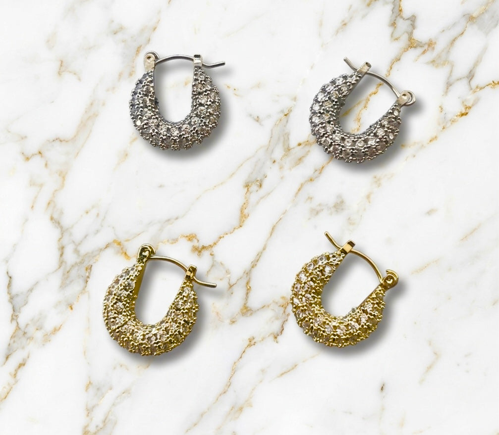 Small Pave CZ Hoop Earrings Stainless Steel