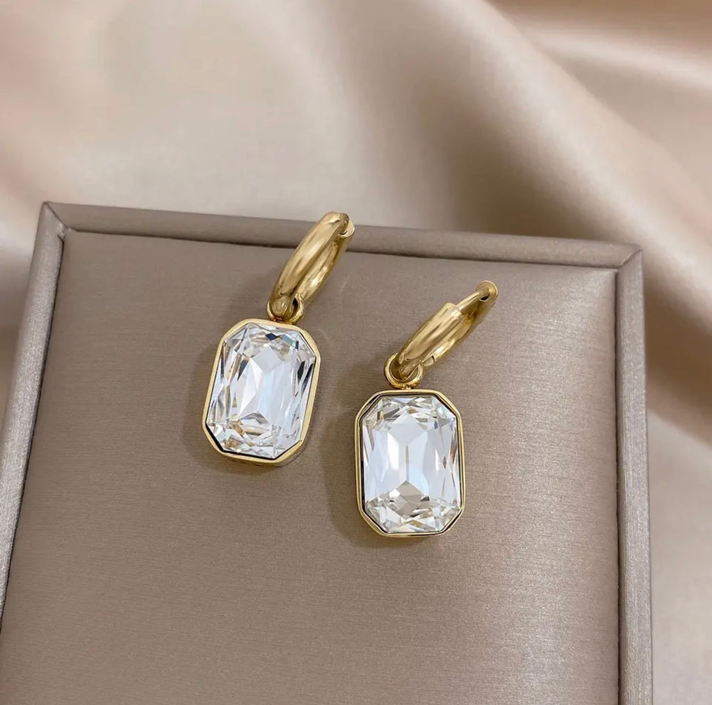 Radiant Crystal Charm Dangle Earrings Stainless Steel